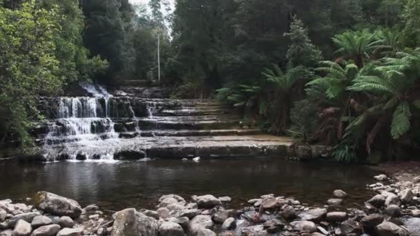 Zoom Lent Dans Plan Liffey Tombe Près Démoraine Tasmanie — Video