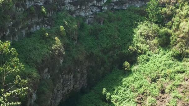 Primer Plano Pared Agujero Fregadero Los Gemelos Isla Santa Cruz — Vídeo de stock