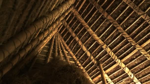 Close Van Het Dak Van Een Gereconstrueerde Hut Uit Het — Stockvideo