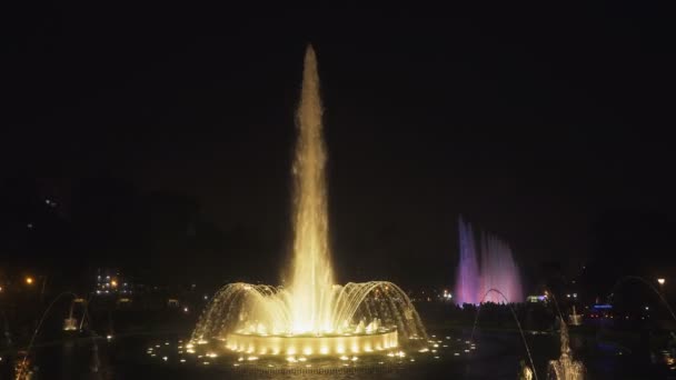 Ευρεία Γωνία Νύχτα Πυροβολισμό Από Μαγικό Συντριβάνι Στο Πάρκο Του — Αρχείο Βίντεο