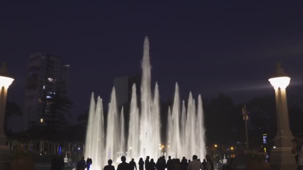 Notte Tiro Assi Gimbal Camminando Verso Fontana Magica Nel Parco — Video Stock