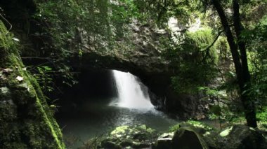 gold coast hinterland Bahar Çayı Milli parkta doğal köprü