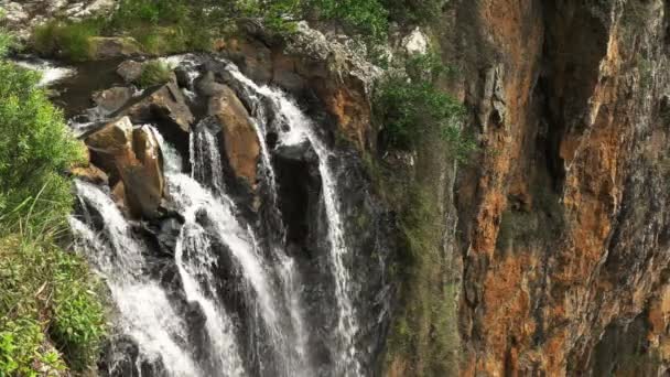 Close Top Purlingbrook Waterfall Springbrook National Park — Stock Video