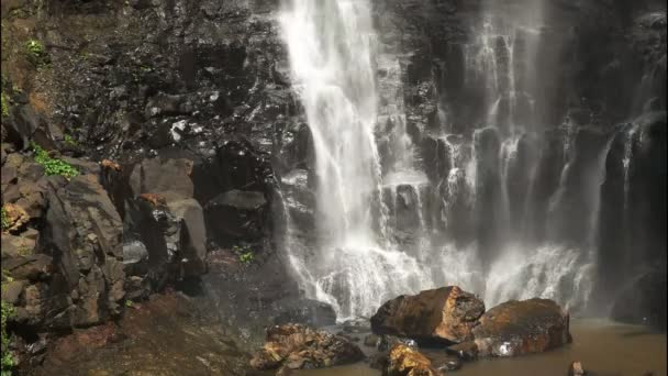 Close Base Springbrook National Park Purlingbrook Waterfall Gold Coast Hinterland — стоковое видео