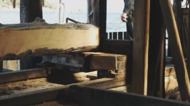 tazmanya strahan tarihi huon çam kereste fabrikası
