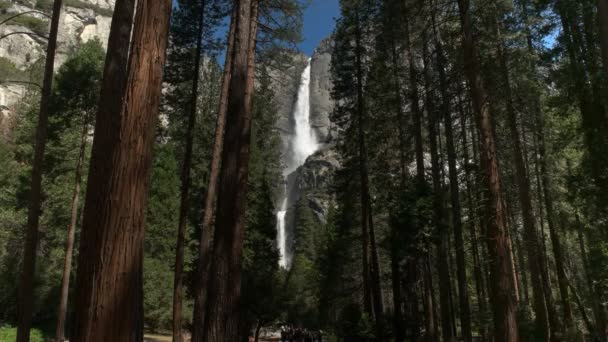 Morgen Blick auf die beiden Abschnitte der Yosemite-Wasserfälle im Yosemite-Nationalpark — Stockvideo