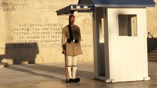 アテネ、ギリシャ- 9月, 16, 2016: ギリシャ議会での勤務中の茶色の制服警備員 — ストック動画