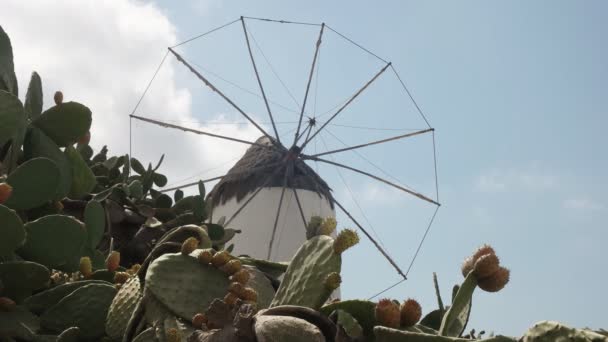 Alte Windmühle auf der griechischen Insel Mykonos mit Kaktus — Stockvideo