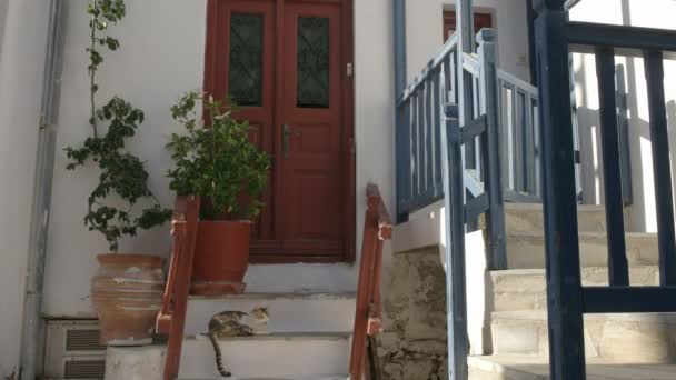 Mikonos, Yunanistan'da ev merdivenlerinde bir kedi nin geniş çekim — Stok video