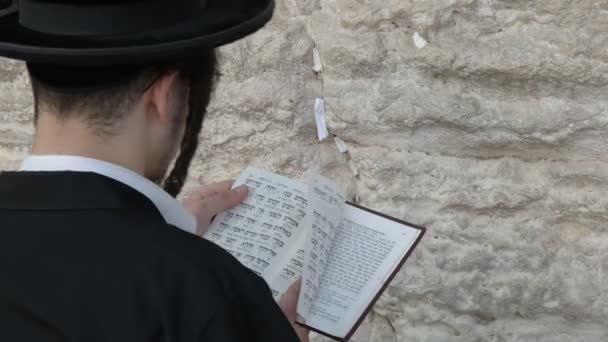 エルサレムの西の壁でユダヤ人の男のクローズアップ — ストック動画