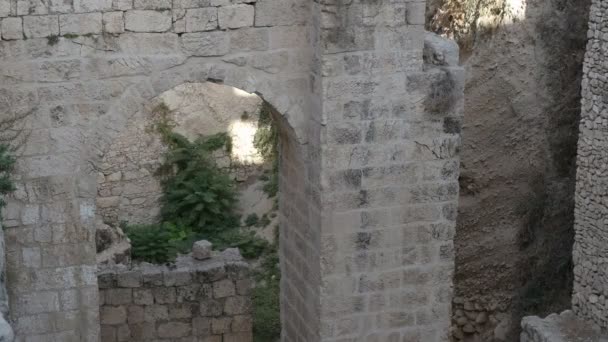 Voûte et ruines à la piscine de Bethesda dans la vieille ville de Jersey — Video