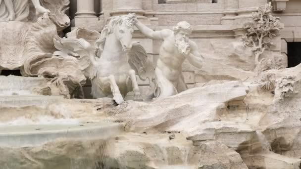 Primer plano de un caballo de fuente trevi y estatua de tritón en roma — Vídeo de stock