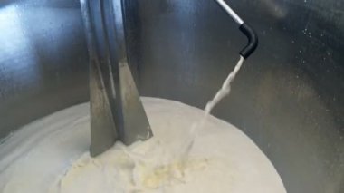 victoria bir mandıra da bir holding tankı içine dökülen taze çiğ süt yakın