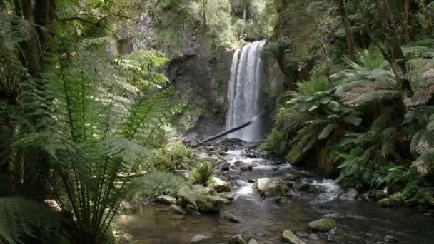Bred utsikt över Hopetoun Falls på Great Ocean Road, Victoria — Stockvideo