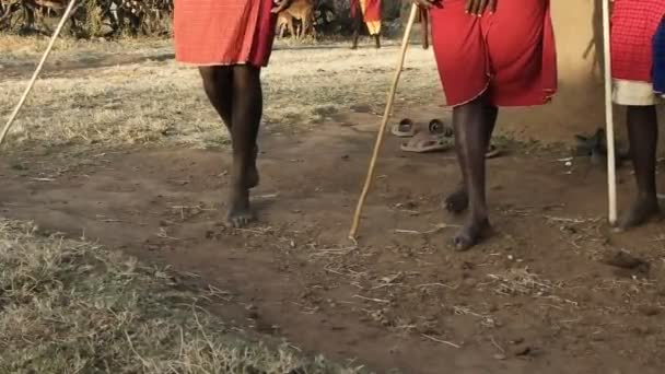 60fps close up tiro dos pés e pernas de maasai guerreiros pulando e dançando em uma aldeia perto maasai mara, kenya — Vídeo de Stock