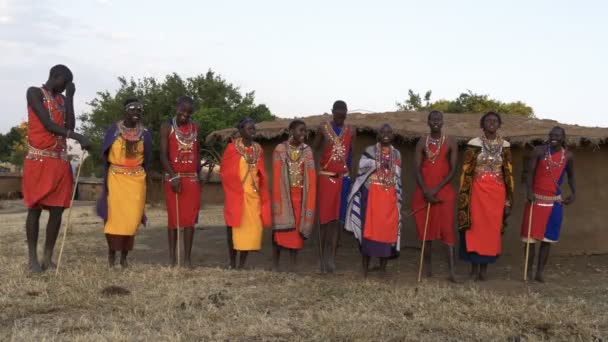 Weite Sicht auf eine Gruppe von zehn Frauen und Männern der Massai, die singen — Stockvideo
