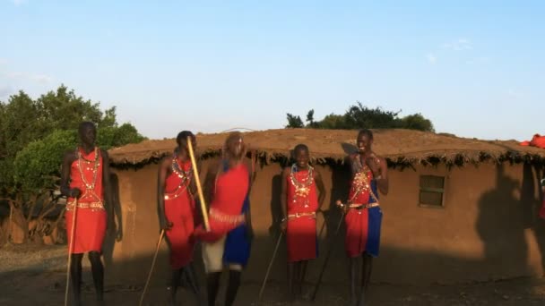 Mittlere Aufnahme von fünf Massai-Kriegern, die in einem Dorf in der Nähe der Masai Mara tanzen — Stockvideo