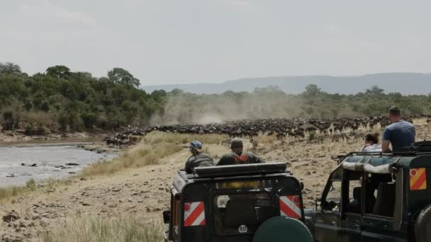 Touristen in Geländewagen beobachten Gnus am Mara-Fluss im Masai-Mara-Wildreservat — Stockvideo