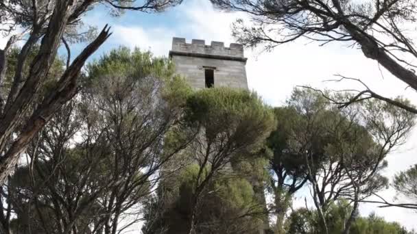 Tiro bajo de la histórica torre boyd en eden — Vídeo de stock