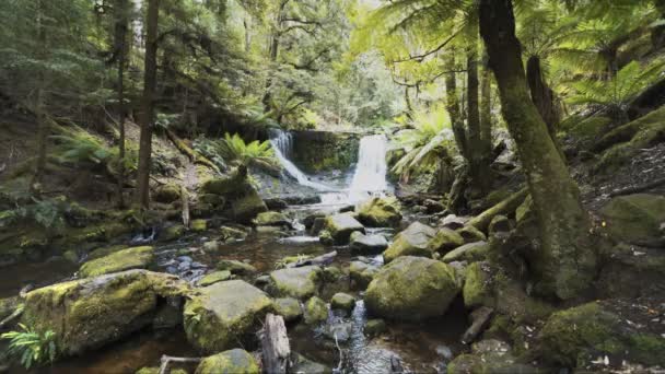 Breed shot van Horseshoe Falls bij mt Field National Park in Tasmanië — Stockvideo