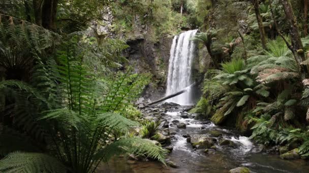 Hopetoun Falls en een boomvaren in de buurt van de Great Ocean Road in Victoria — Stockvideo