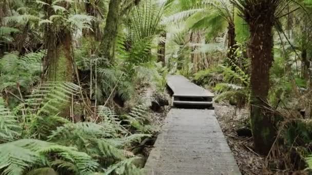 3-Achsen-Gimbal-Schuss zu Fuß entlang einer Uferpromenade im Regenwald bei Hopetoun Wasserfällen in der Nähe der großen Ozeanstraße — Stockvideo