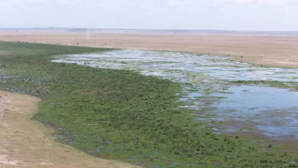 Amboseli gözlem tepeden göl leakey yüksek açı çekim — Stok video