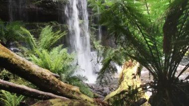 russell tabanı tazmanya, Avustralya düşüyor