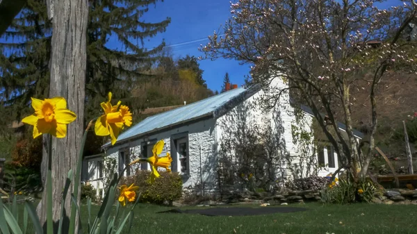 Arrowtown, Nya Zeeland-sept 25 2014: vårblommor blommar framför en gammal General Store i Arrowtown — Stockfoto