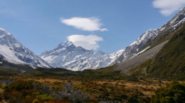 mt aşçı nz vadi arıyor