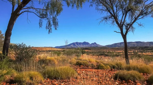 Monte sonder en las gamas de macdonnell del oeste cerca de los manantiales alice enmarcados por árboles — Foto de Stock