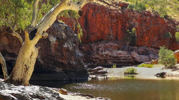 A ghost gum and sunlight on the water of ormiston gorge in the west macdonnell ranges — Stock Photo, Image