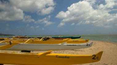 Honolulu, Amerika Birleşik Devletleri - 5 Ağustos 2015: Oahu'daki Hawaii Kai'de bir grup sarı outrigger kanosu