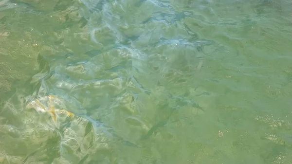 Drops of oil from the uss arizona on the water surface at pearl harbor — Stock Photo, Image