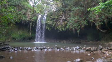 twin falls on mauis famous road to hana, also known as caveman falls clipart