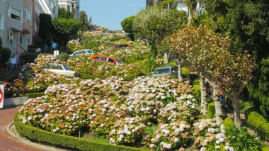 arabalar san francisco lombard sokak aşağı kendi yolunu rüzgar gibi yakın