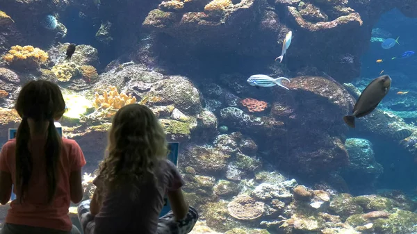 Niños identifican peces en un gran acuario público —  Fotos de Stock