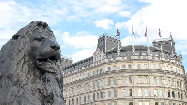 Närbild av ett brons lejon vid Nelsons kolonn på Trafalgar Square, London — Stockfoto