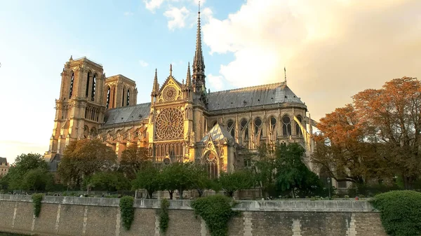 Notre dame-katedralen i solnedgången i paris, Frankrike — Stockfoto