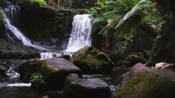 Dolly shot van zomer stroomt op Horseshoe Falls in Mt Field National Park — Stockvideo