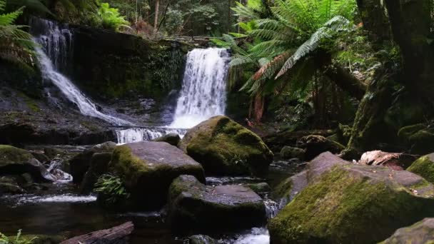 Красива підкова падає на горі поле, tasmania — стокове відео