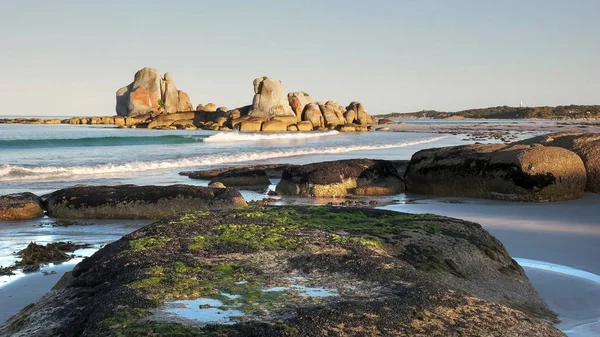 Algas cubiertas de rocas en rocas de picnic en Tasmania, Australia — Foto de Stock