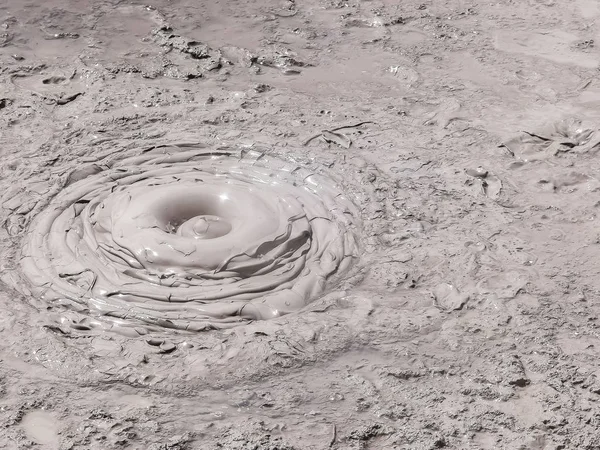 Close up shot of thick boiling mud pool near rotorua — Stock Photo, Image