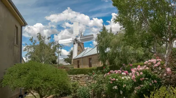 Oatlands, Tasmanien, Australien-december 15, 2015: en fungerande väderkvarn på Oatlands med rosenbuskar i förgrunden — Stockfoto