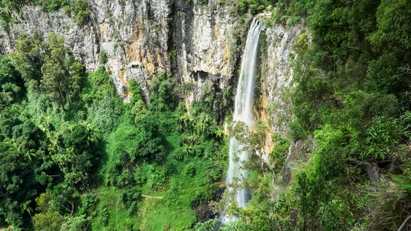 Καταρράκτης purlingbrook στη Χρυσή Ακτή ενδοχώρα — Φωτογραφία Αρχείου