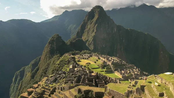 Largo tiro de llamas pastando en machu picchu — Foto de Stock