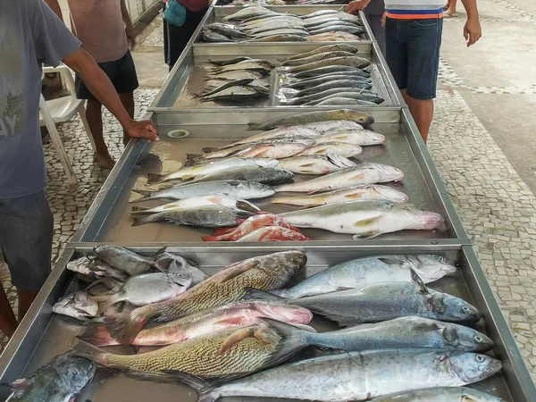 Vis te koop op een markt op het strand van Copacabana in Rio — Stockfoto