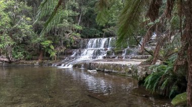 liffey görünümünde yan tazmanya düşüyor