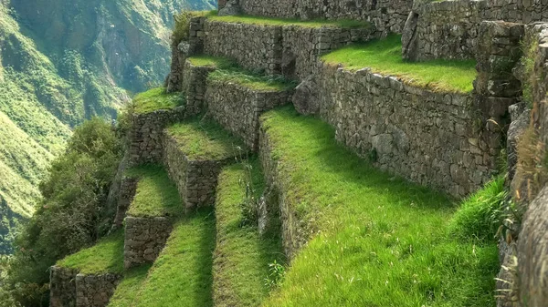 V Machu Picchu, nedaleko roste tráva — Stock fotografie
