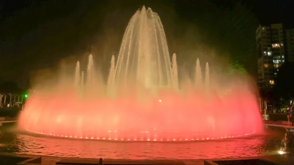 Night shot of the magic fountain in the park of the reserve — Stock Photo, Image